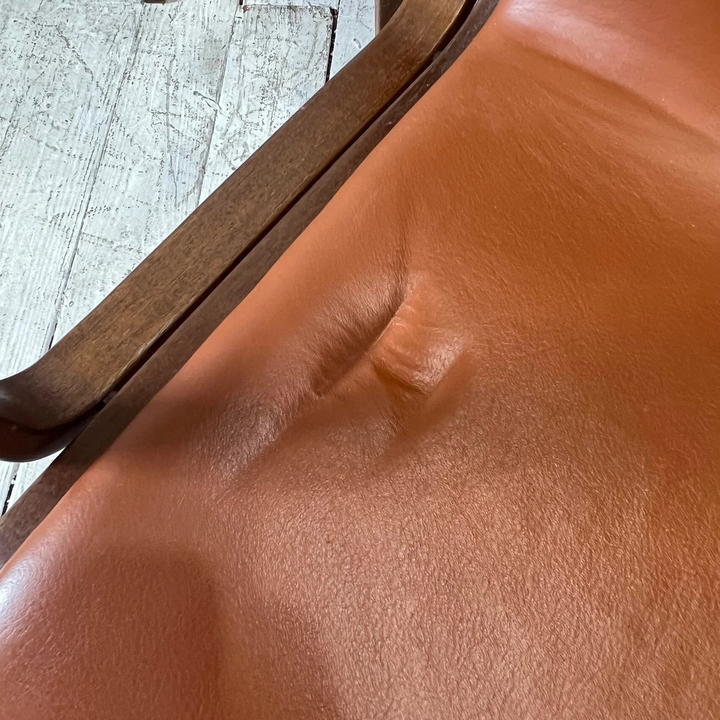 Bill Stephens for Knoll Leather and Bentwood Chairs Set of 6