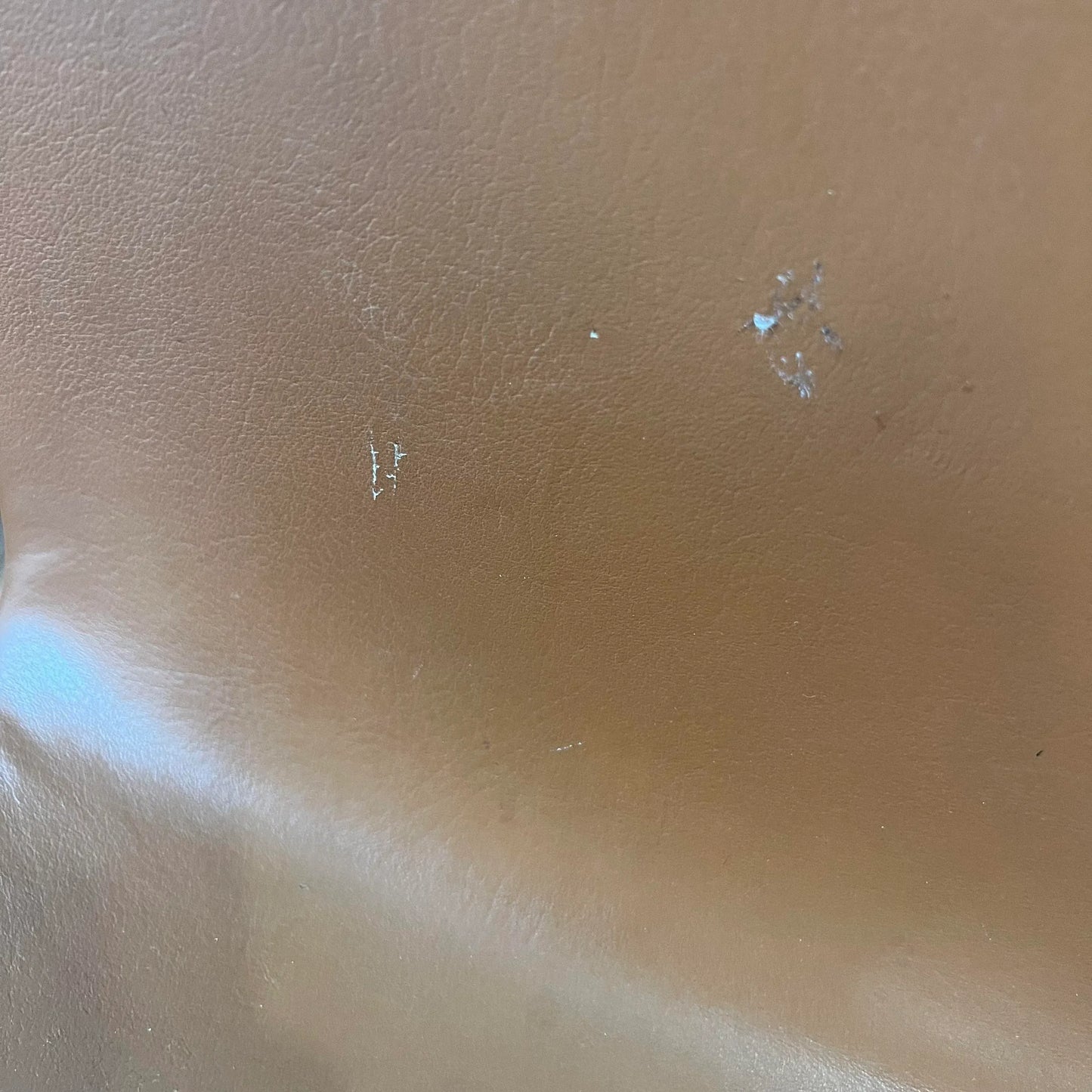 Set of 4 Bill Stephens for Knoll Leather Bentwood Chairs