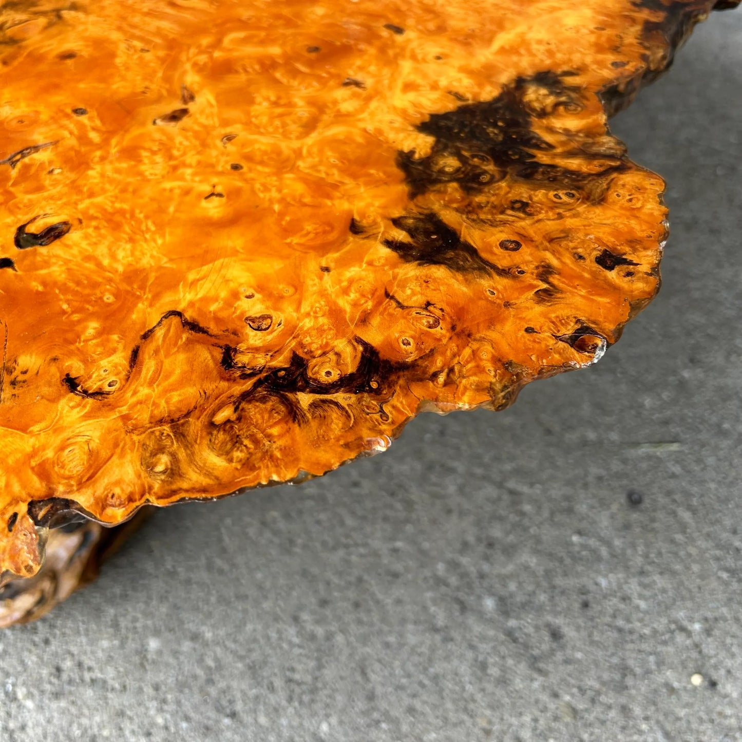 Burl Wood Root Live Edge Resin Coffee Table