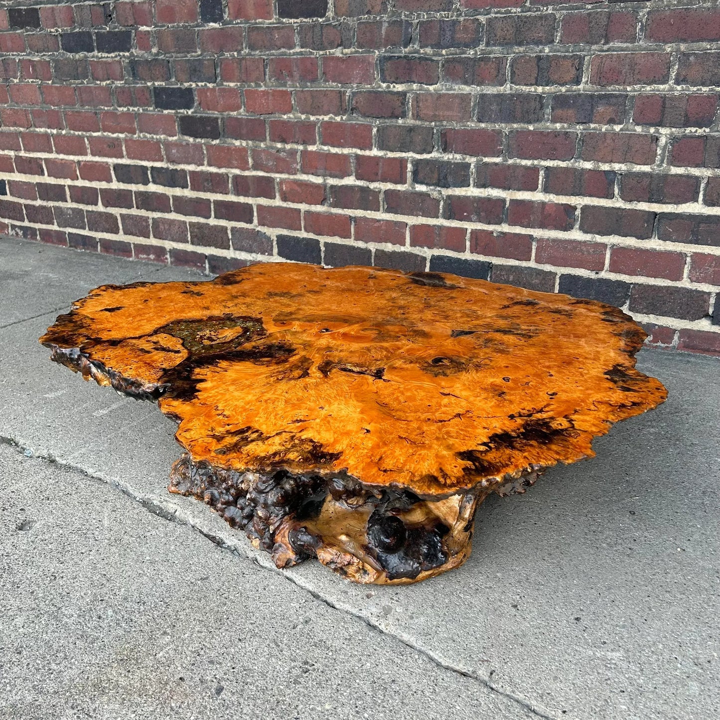 Burl Wood Root Live Edge Resin Coffee Table