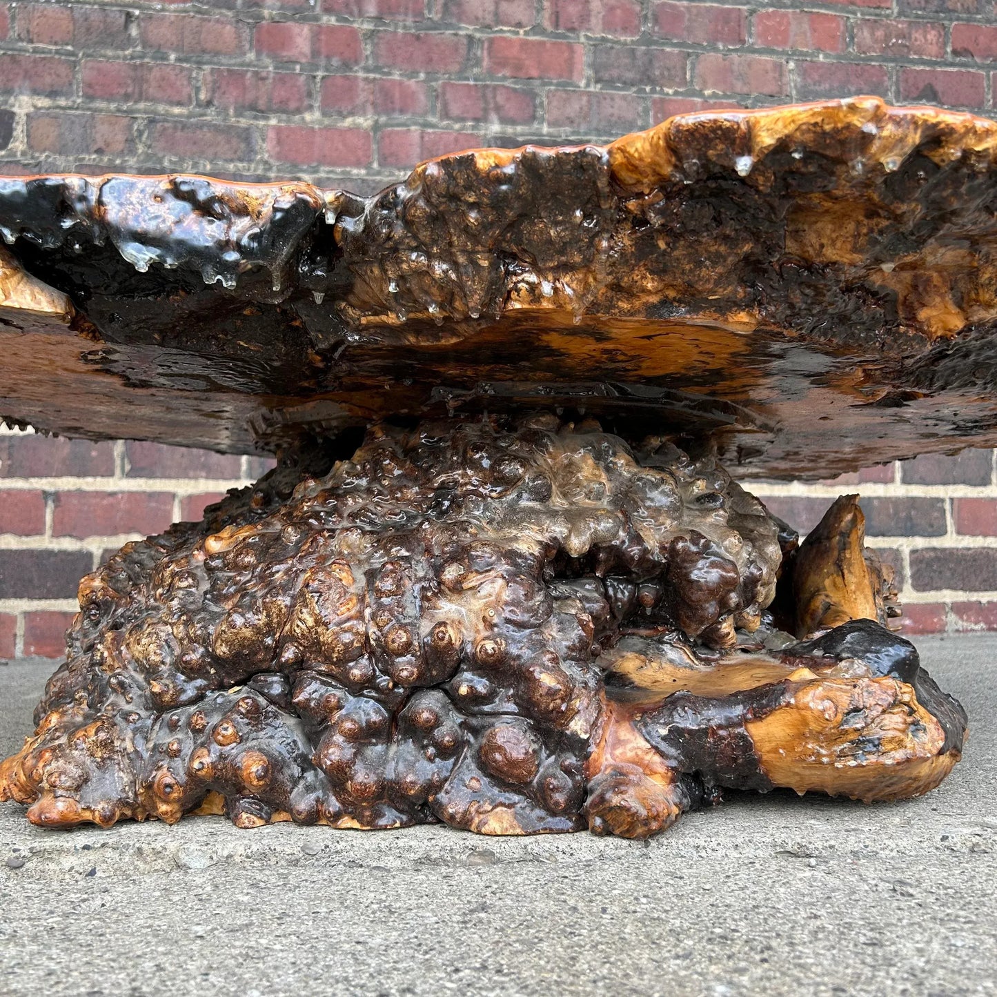 Burl Wood Root Live Edge Resin Coffee Table