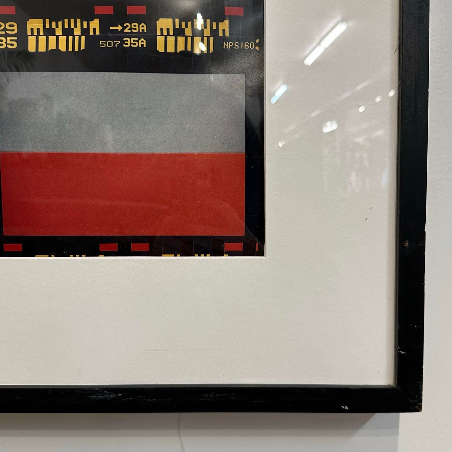 Ruth Litoff Photographs