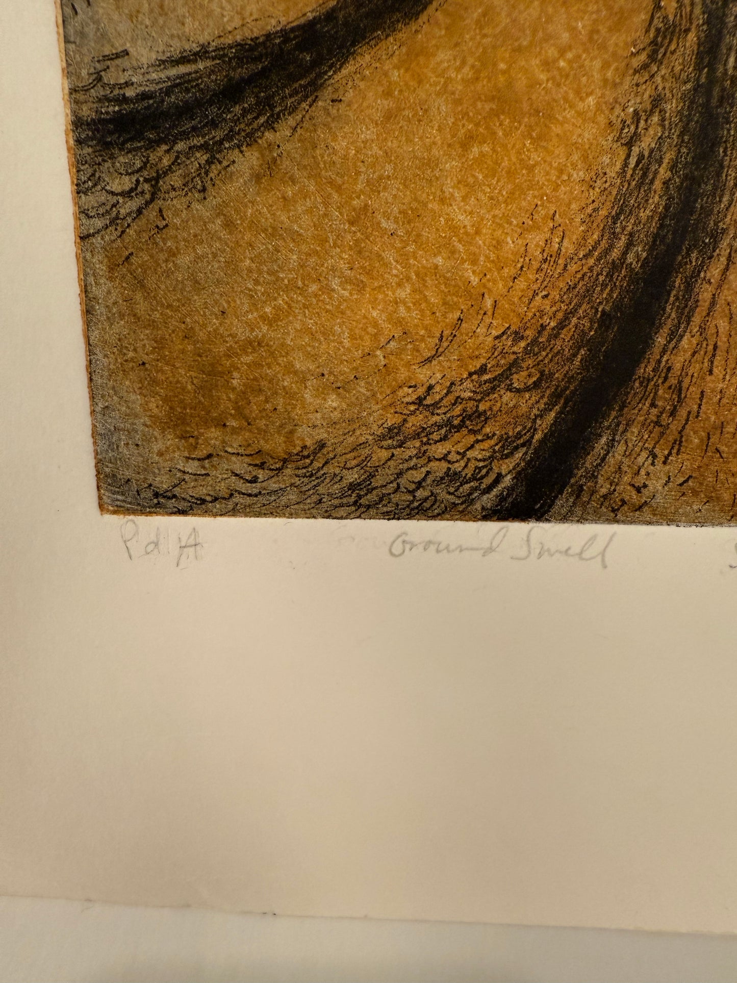 Susan Sartarelli “Ground Swell” Print