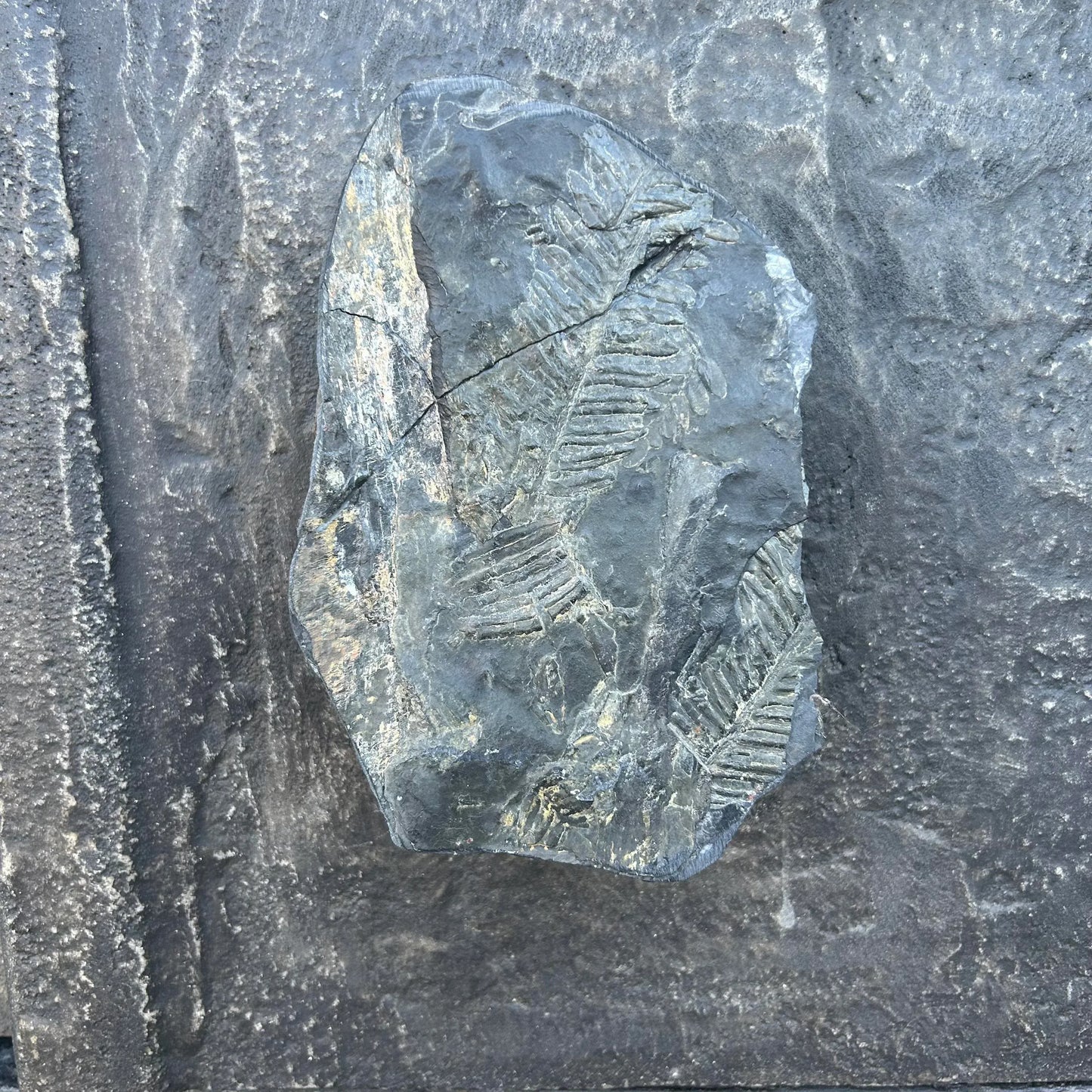 Studio Made Credenza by Smokey Tunis