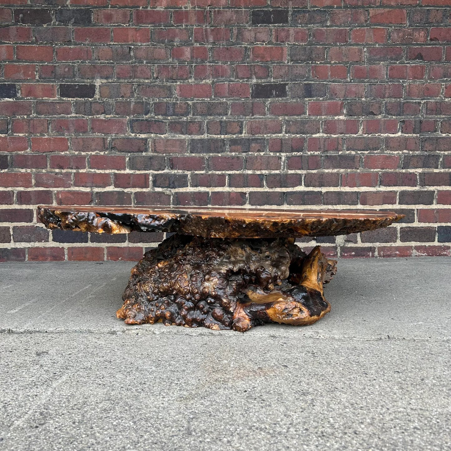 Burl Wood Root Live Edge Resin Coffee Table