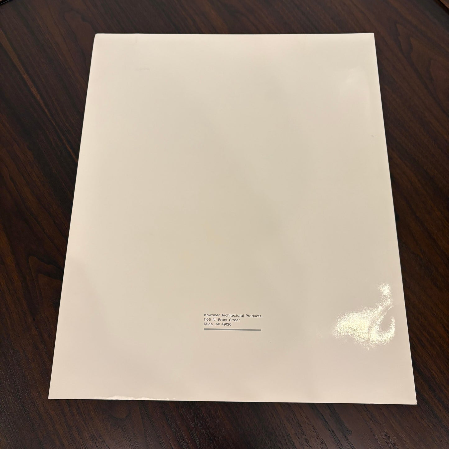 Walter Gropius “The Bridge Builder” Portfolio Print by Wilson McLean 1981