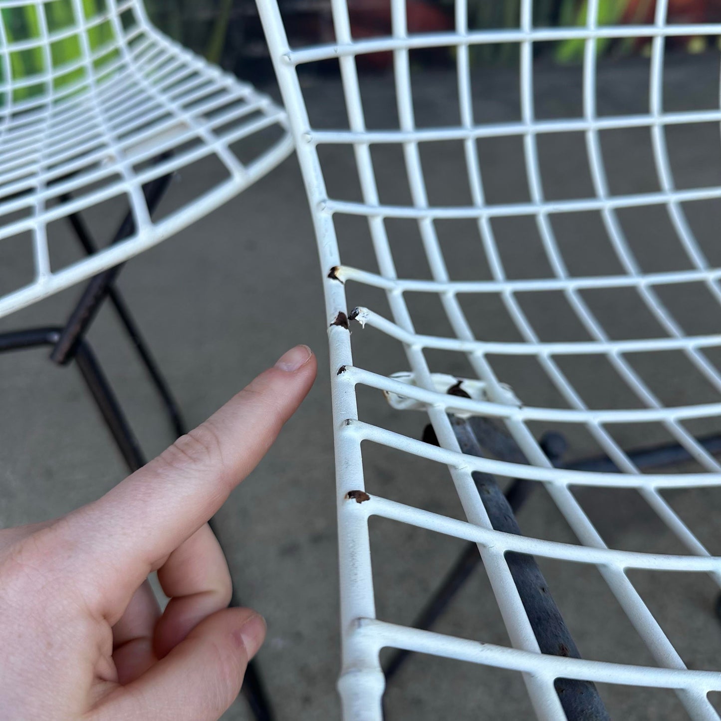 Set of 6 Harry Bertoia Wire Side Chairs for Knoll