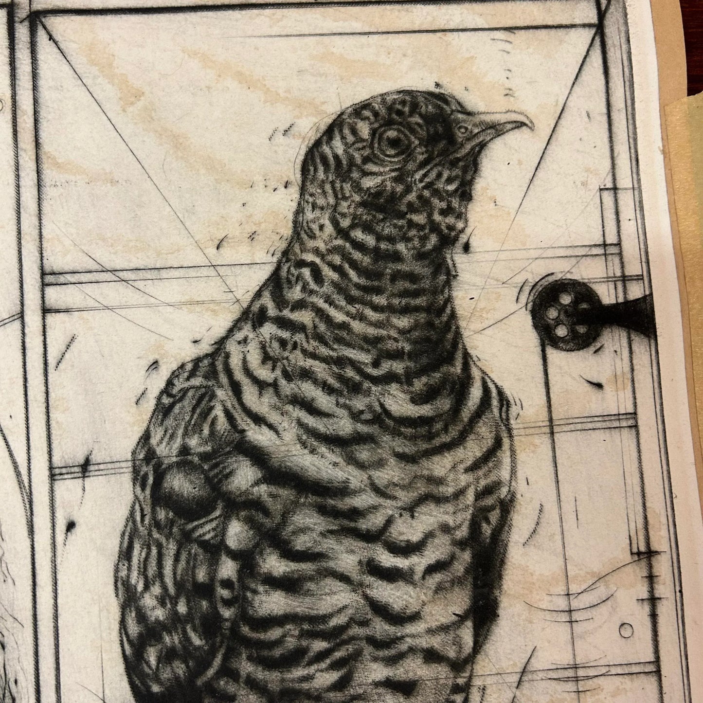 Ralph Warman “Stuff for f.g.” 4/40 Signed