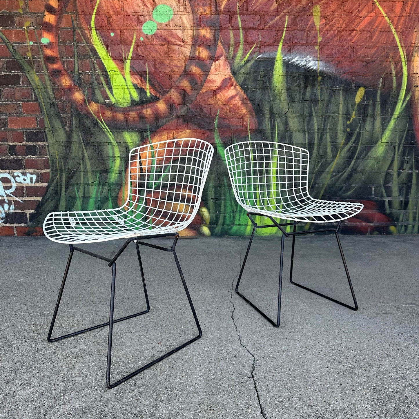 Set of 6 Harry Bertoia Wire Side Chairs for Knoll