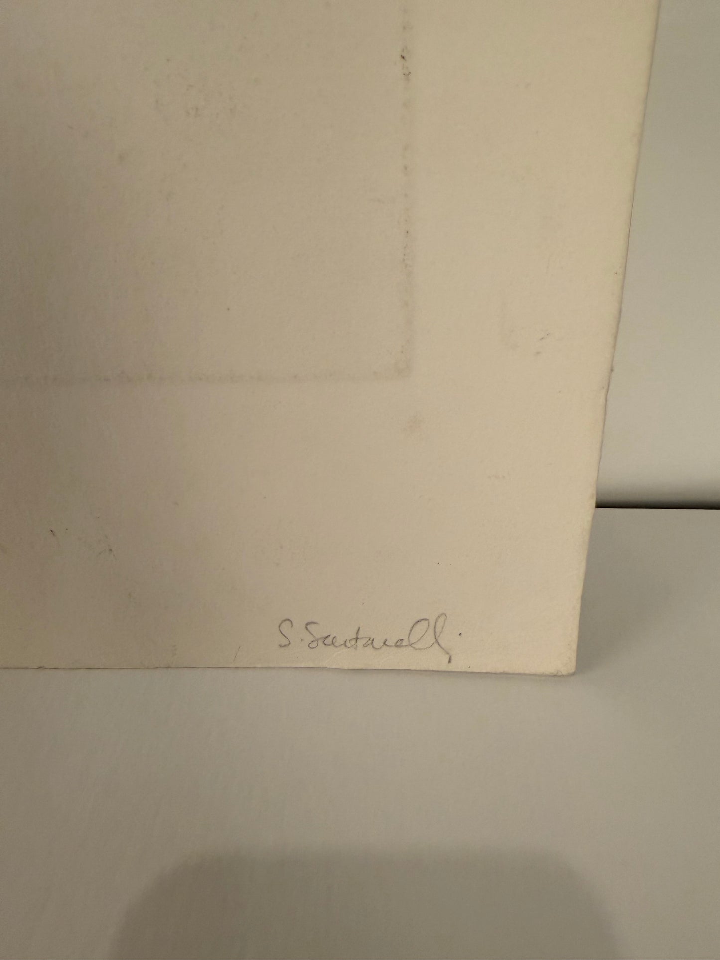 Susan Sartarelli “Ground Swell” Print