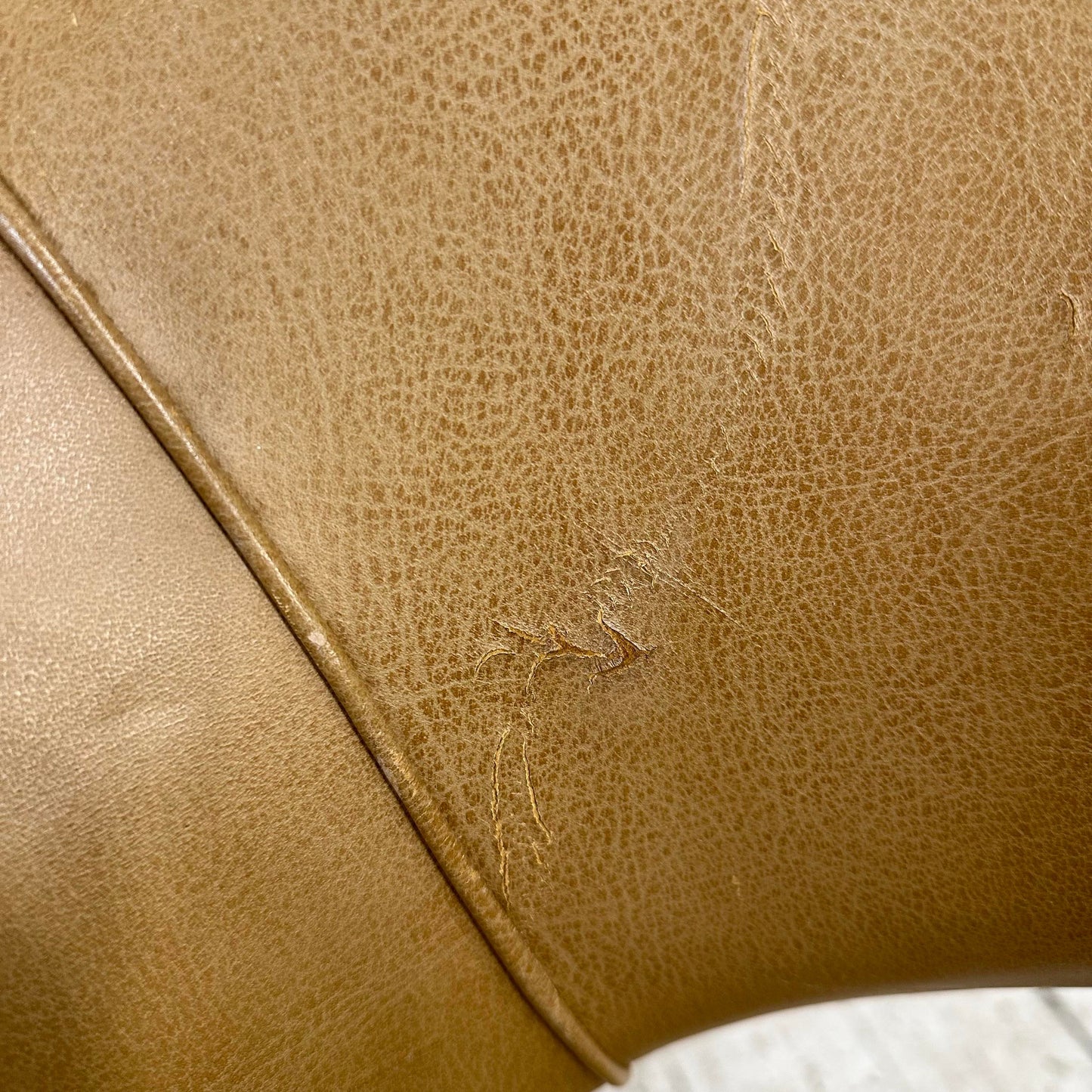 Saaranin Executive Arm Chair With Bentwood Legs on Casters