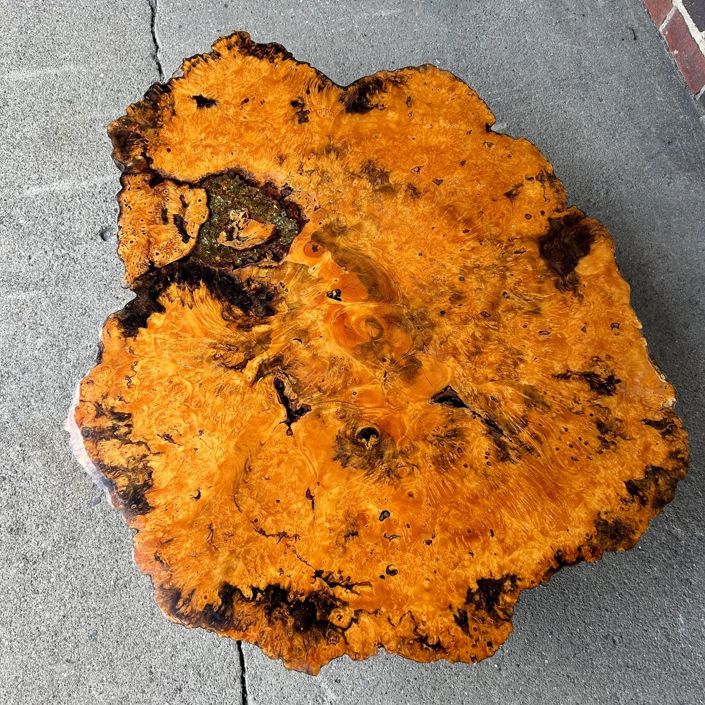 Burl Wood Root Live Edge Resin Coffee Table