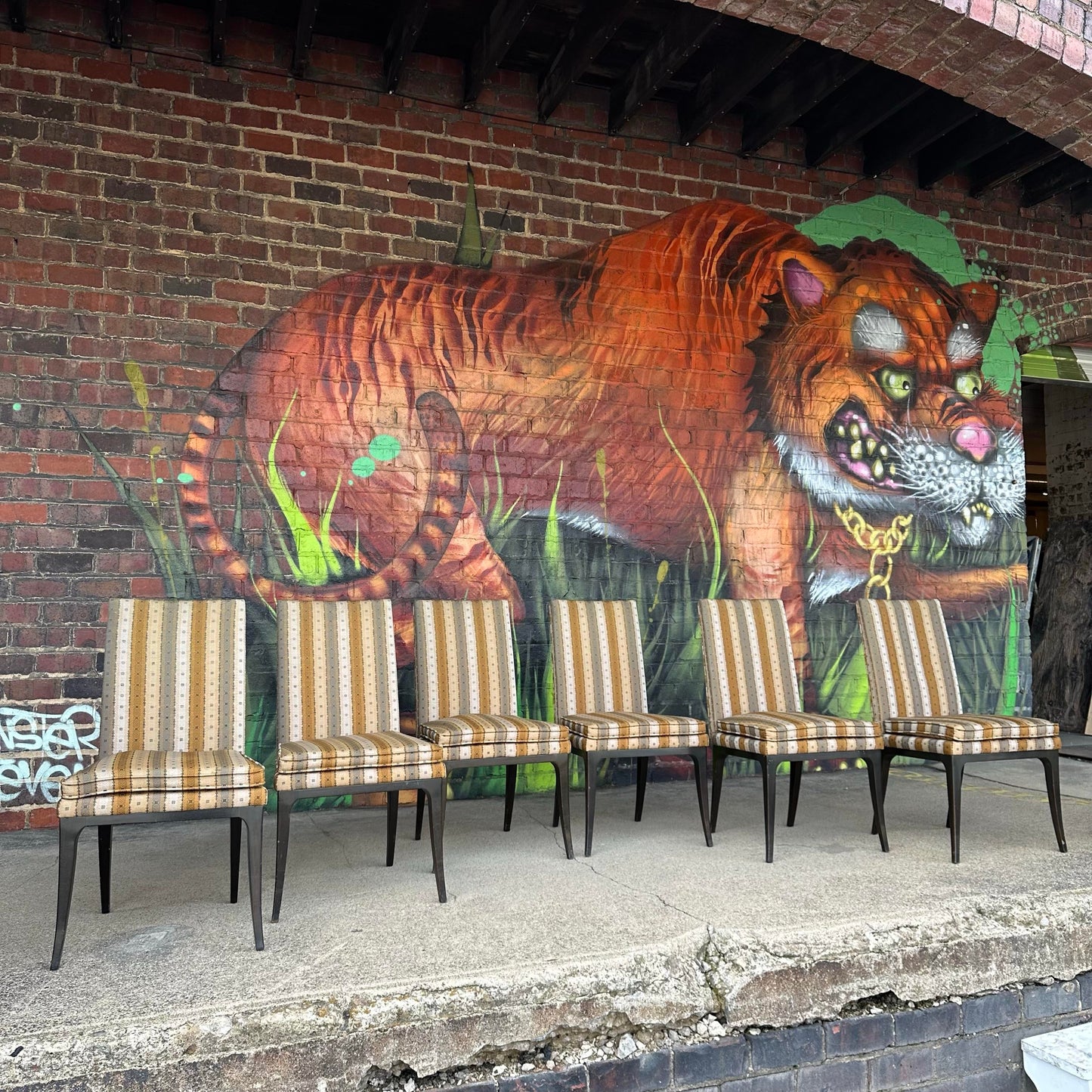 Set of 6 Harvey Probber Dining Chairs Saber Legs