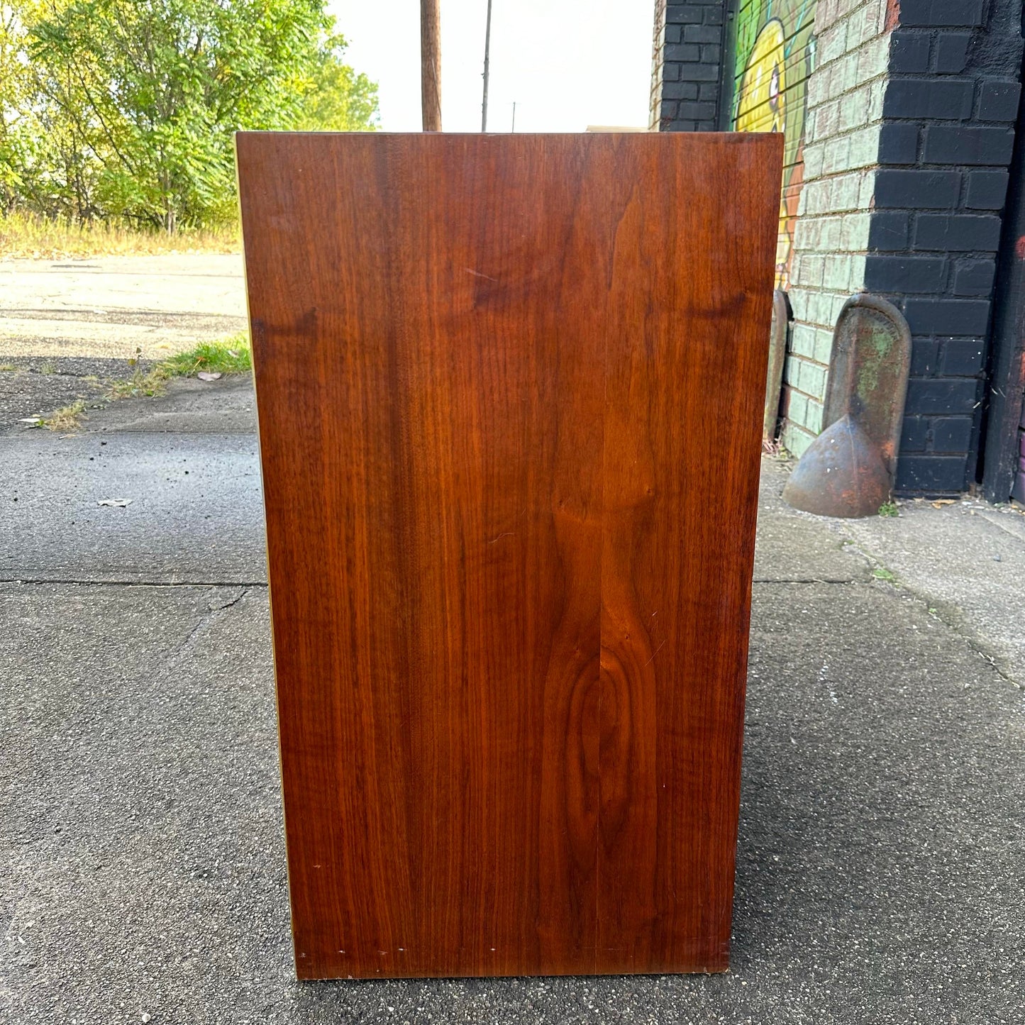 Mid Century Modern Lane Record Cabinet Storage