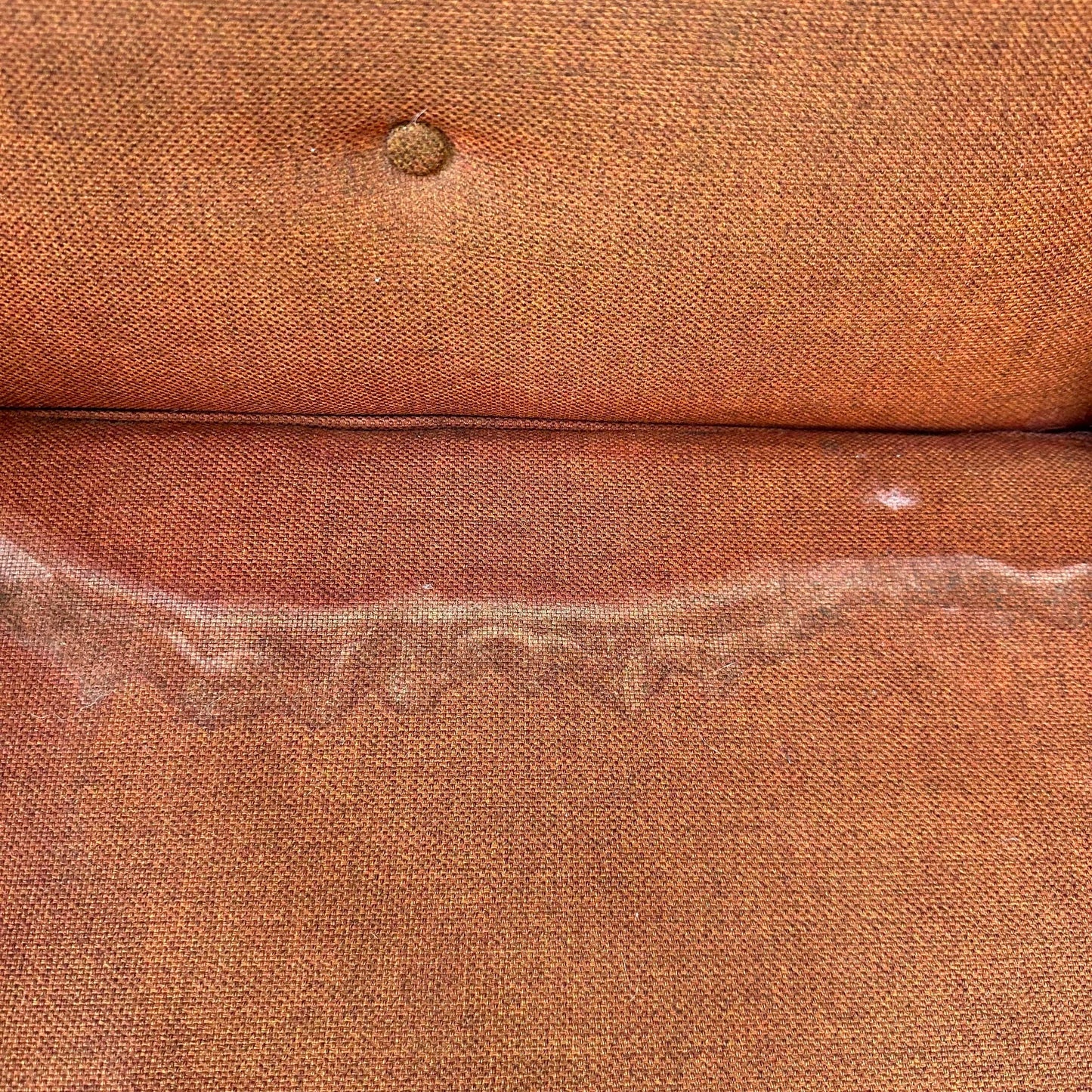 Mid 20th Century Selig Lounge Chair and Ottoman