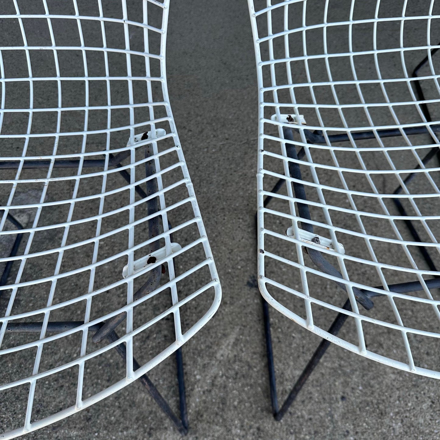 Set of 6 Harry Bertoia Wire Side Chairs for Knoll