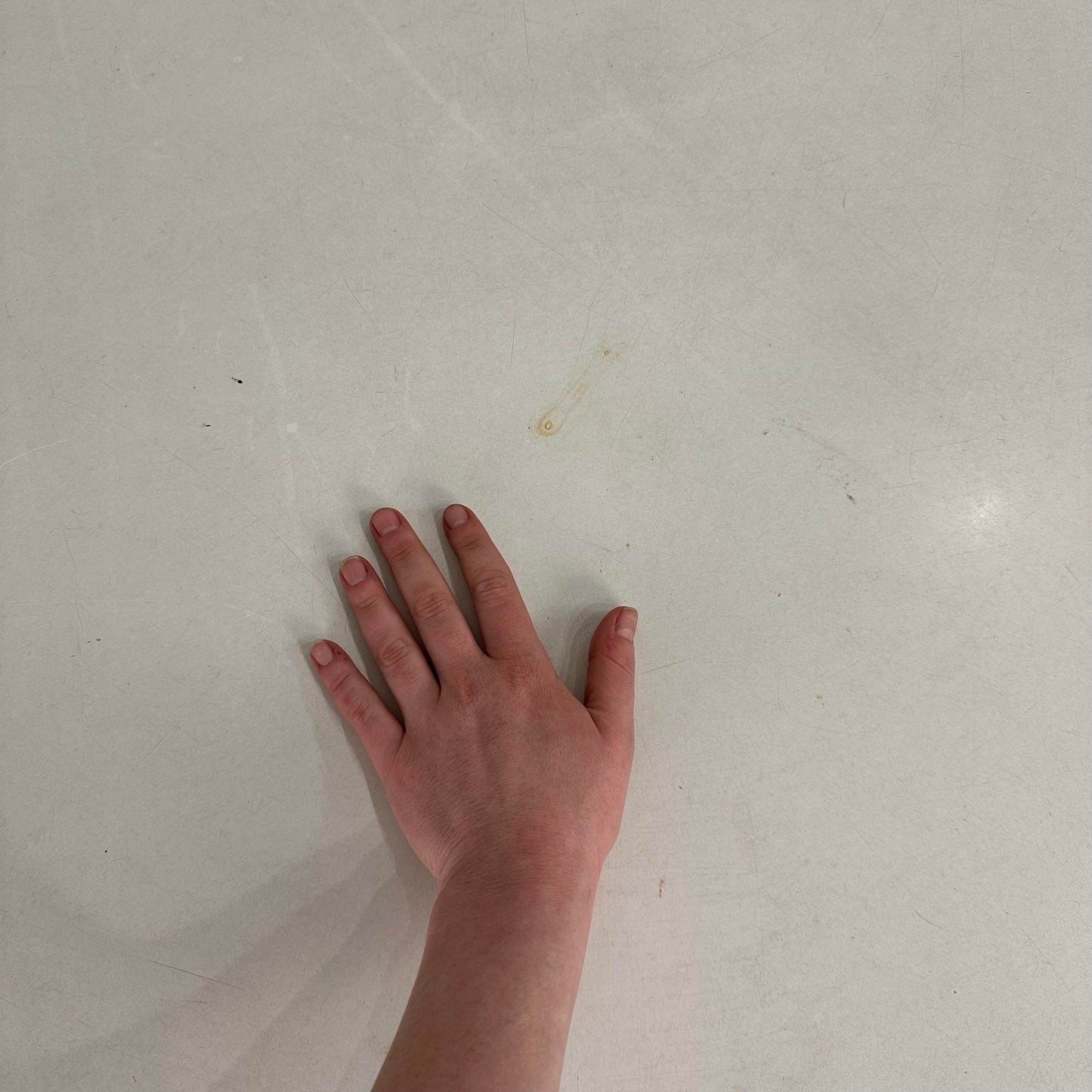 Mid Century Modern Eero Saarinen Knoll Tulip Dining Table