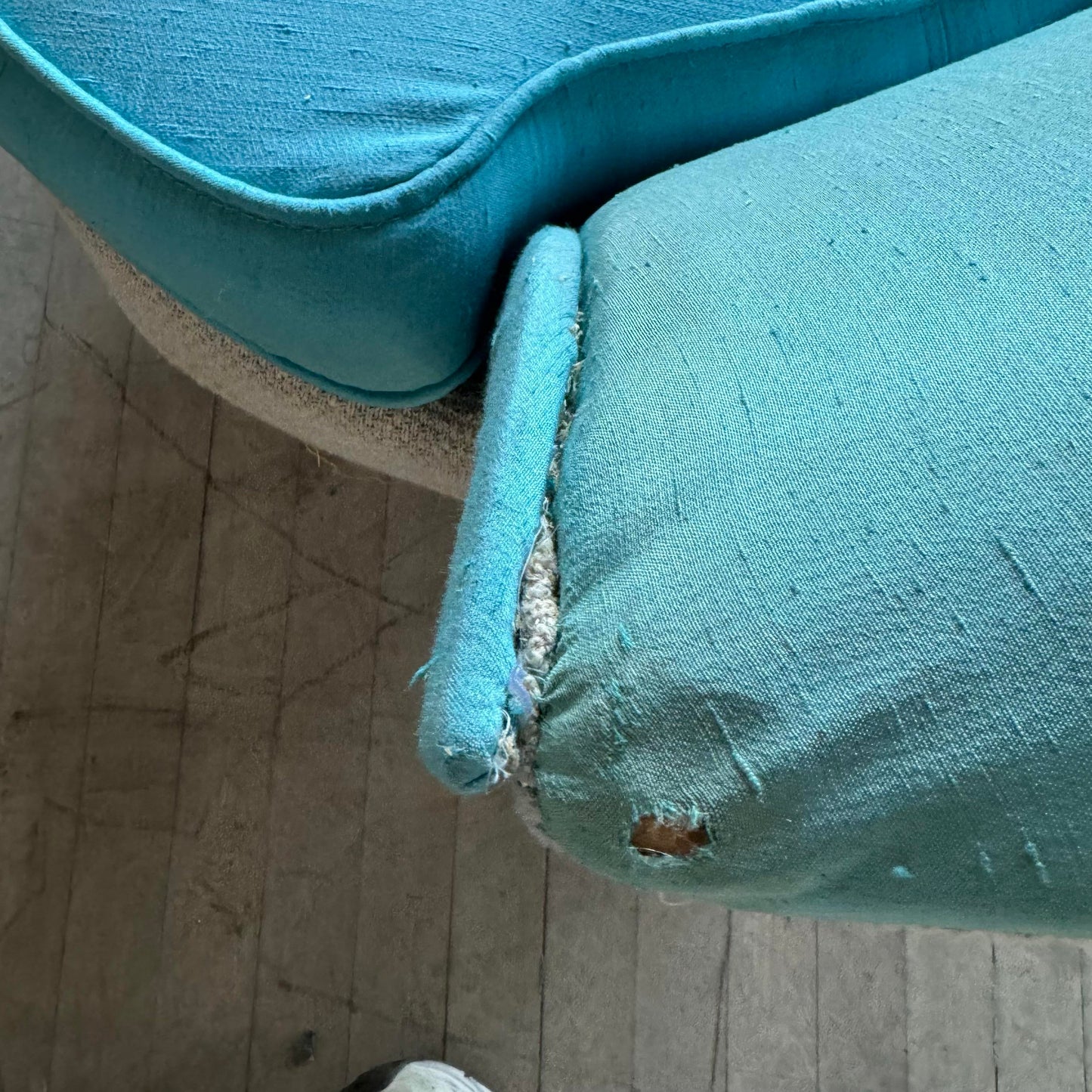 Pair of Asymmetrical Shell Chairs