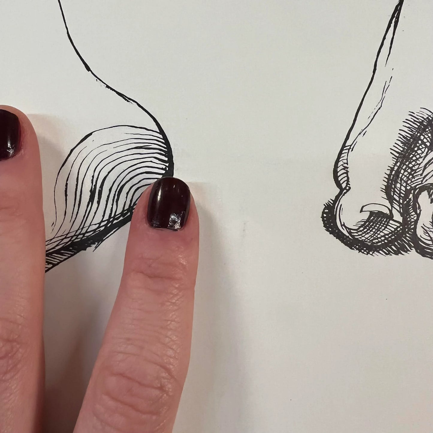 Lucian Freud 1974 Hayward Gallery Exhibition Poster