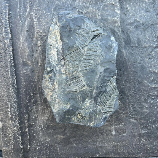 Studio Made Credenza by Smokey Tunis