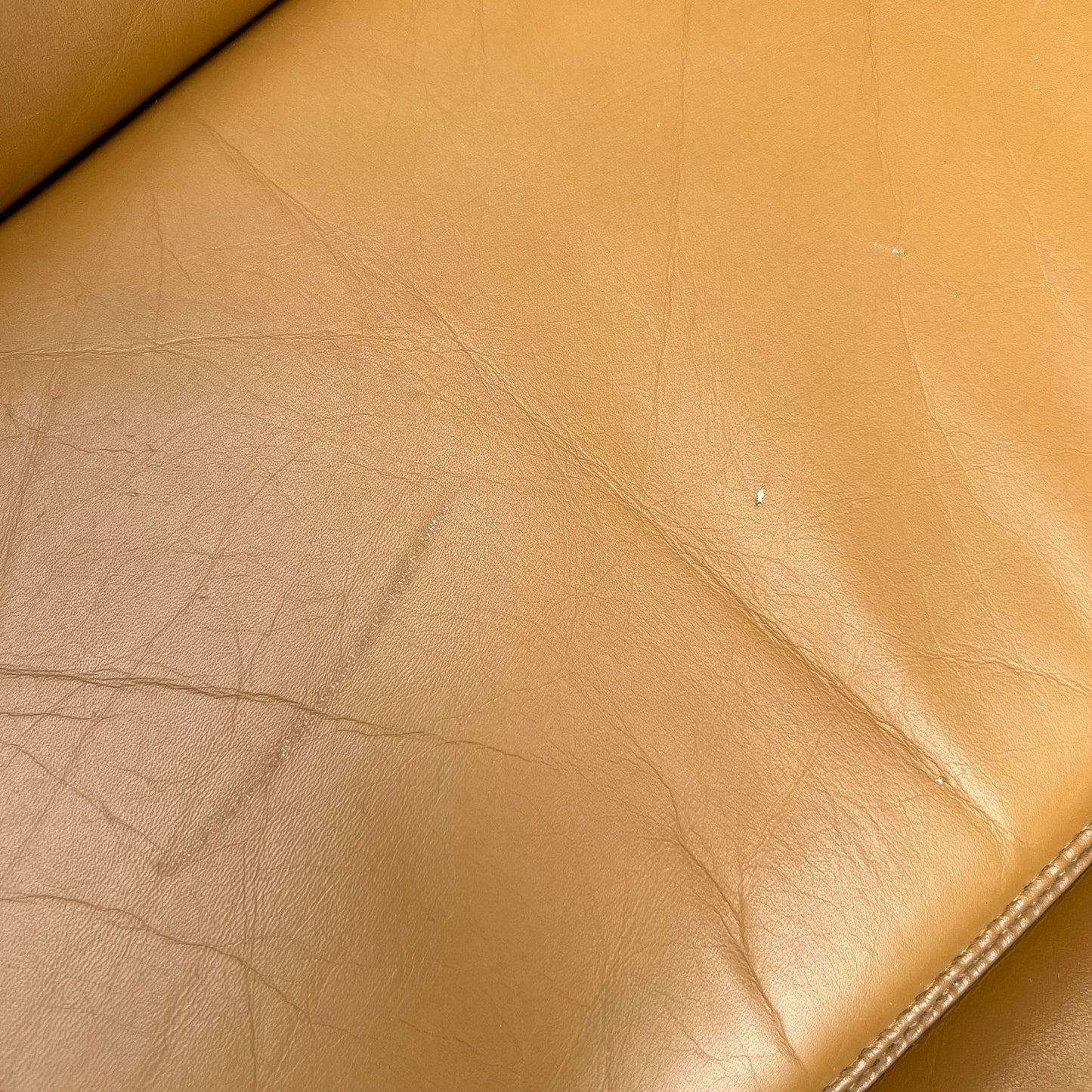 Leather and Rattan Chrome Cantaliver Side Chair Office