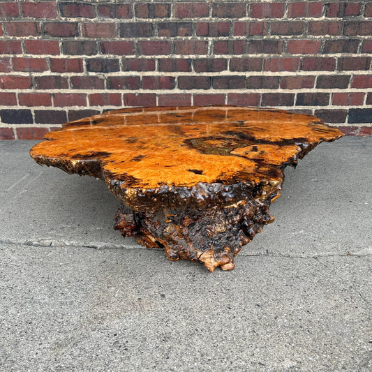Burl Wood Root Live Edge Resin Coffee Table