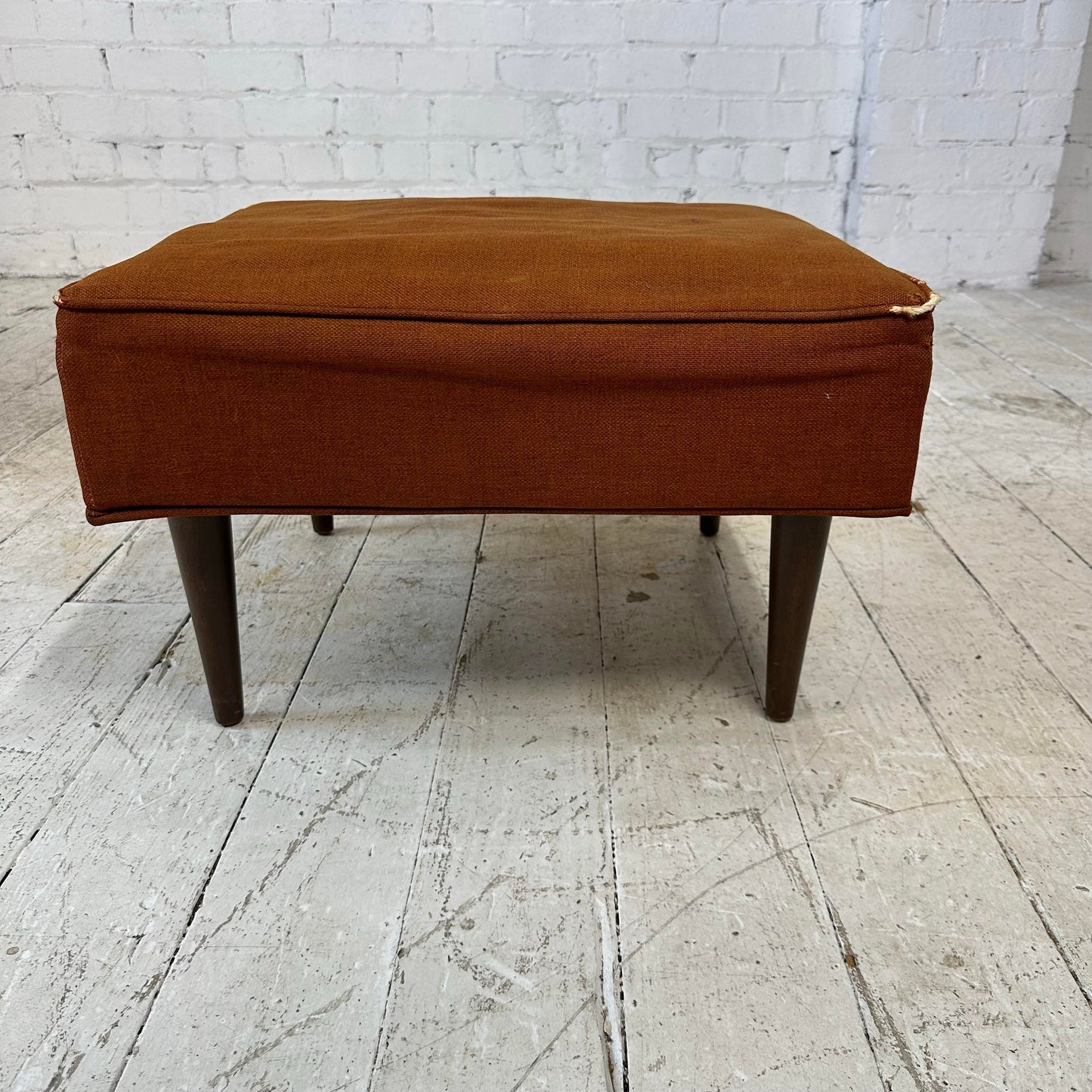 Mid 20th Century Selig Lounge Chair and Ottoman