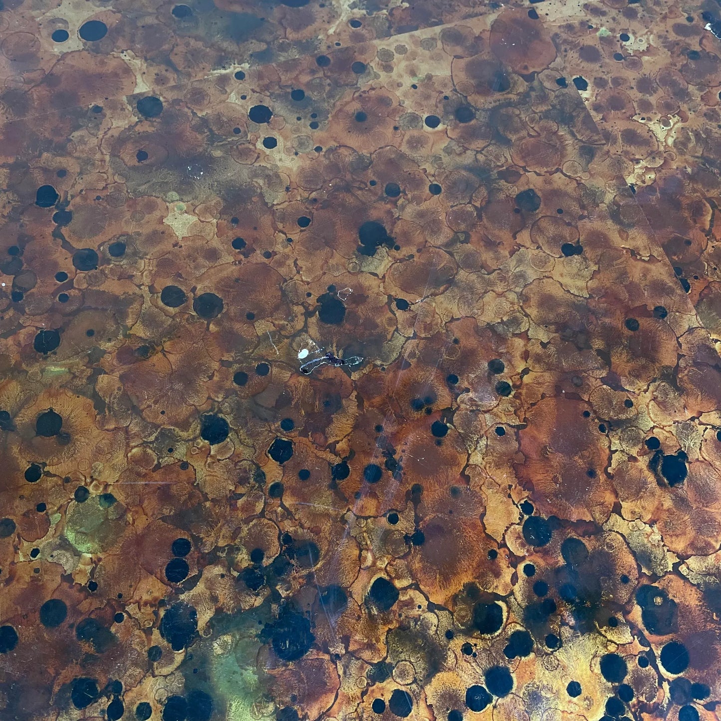 Mid 20th Century Kittinger Furniture Modern Lotus Coffee Table