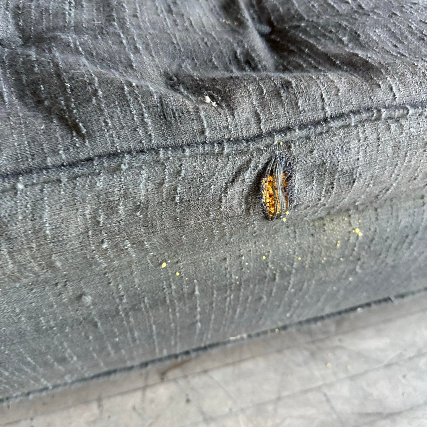 Mid 20th Century Harvey Probber Sectional Sofa and Ottoman