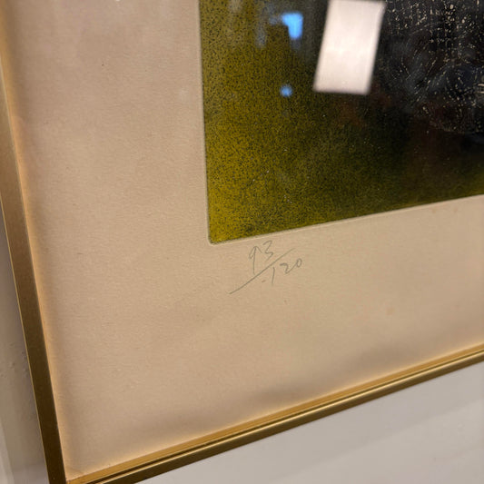 Sharsky Atomic Framed Print 93/120