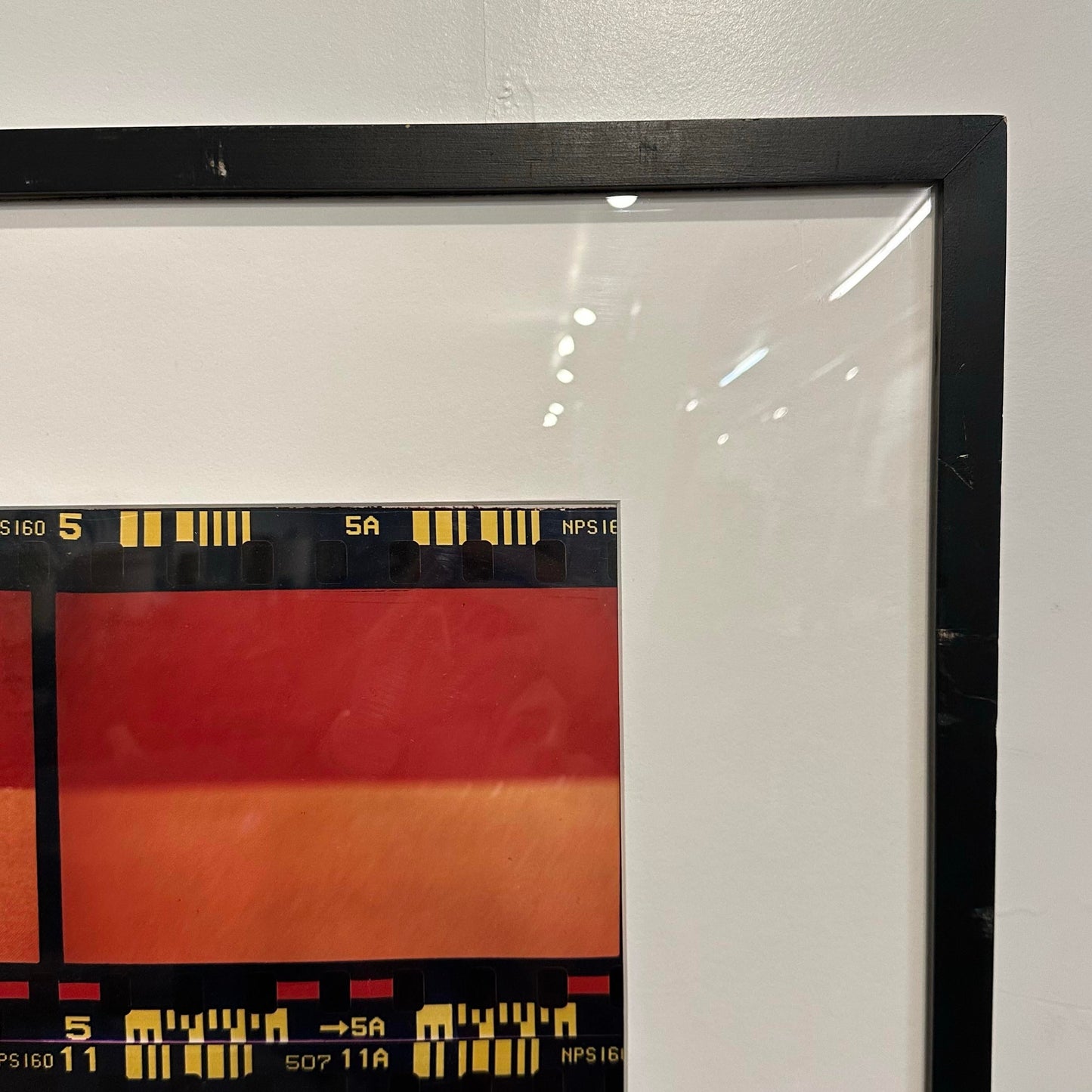 Ruth Litoff Photographs