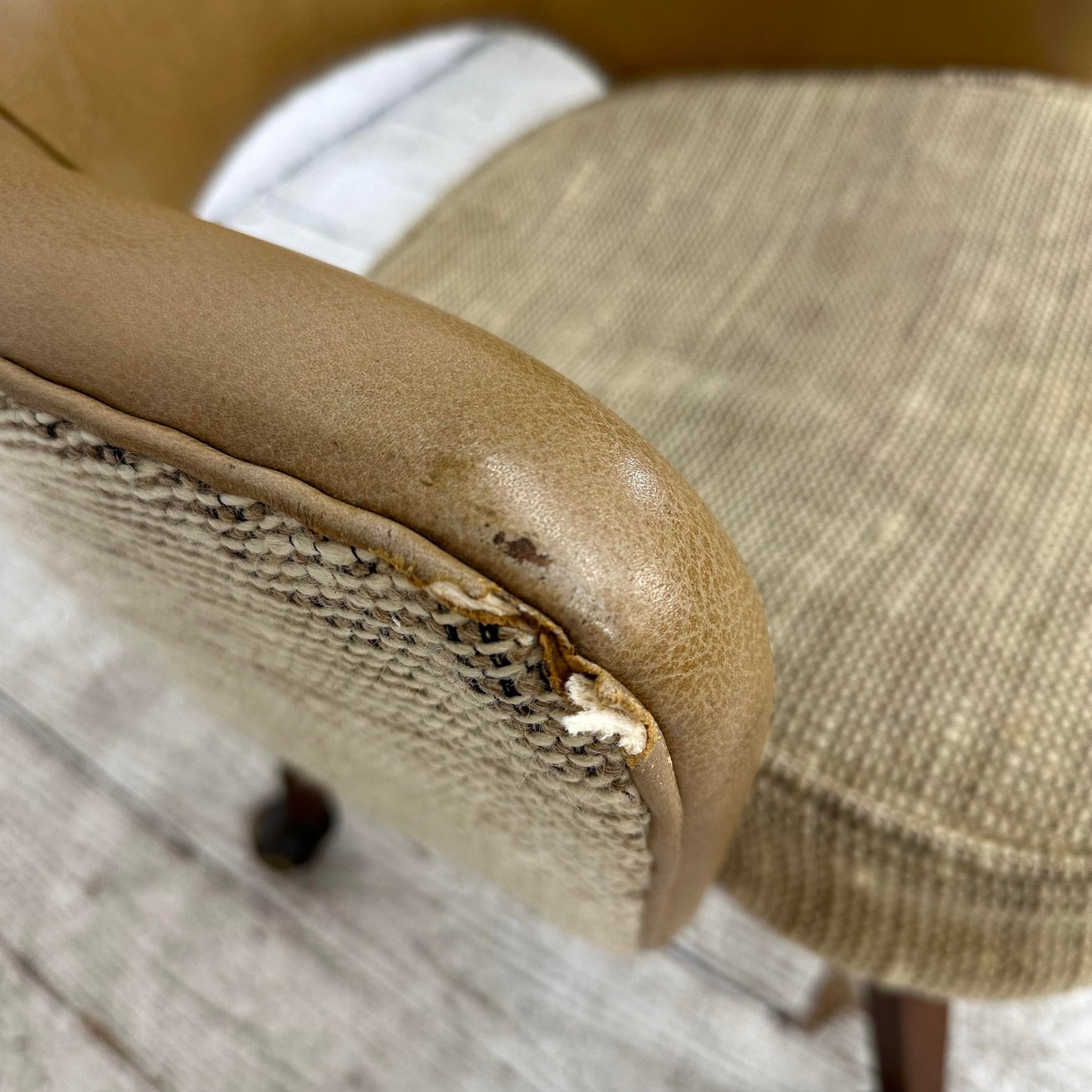 Saaranin Executive Arm Chair With Bentwood Legs on Casters