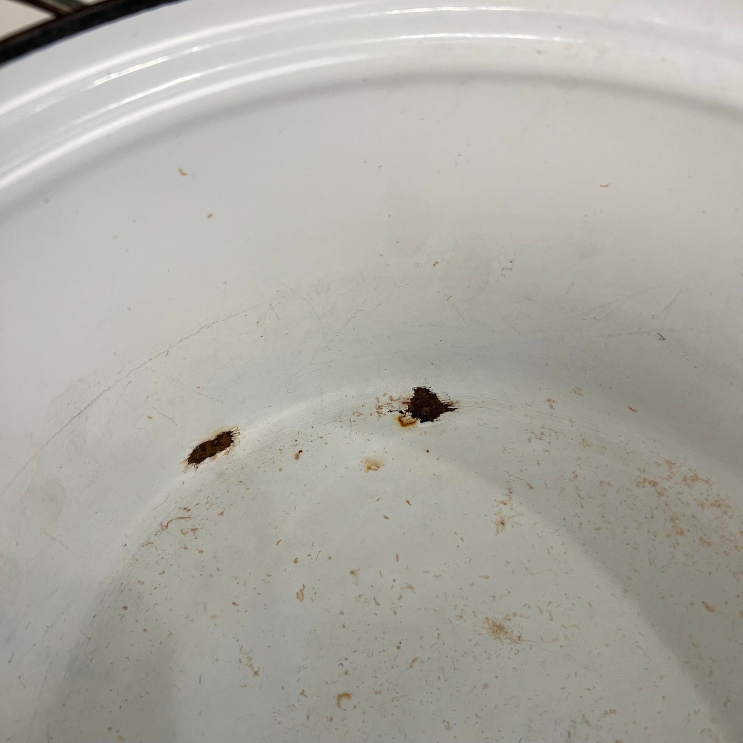 Catherine Holm Enamel “Lotus” Lidded Dutch Oven