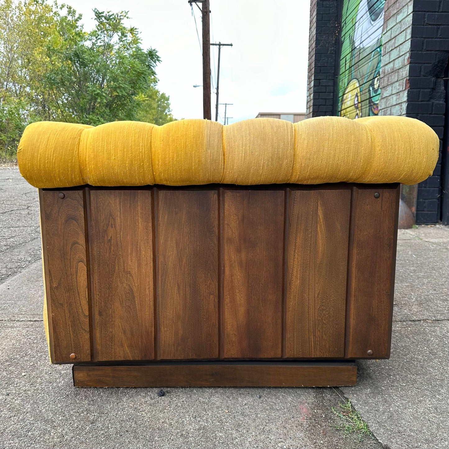 Mid Century Modern Tufted Party Case Sofa